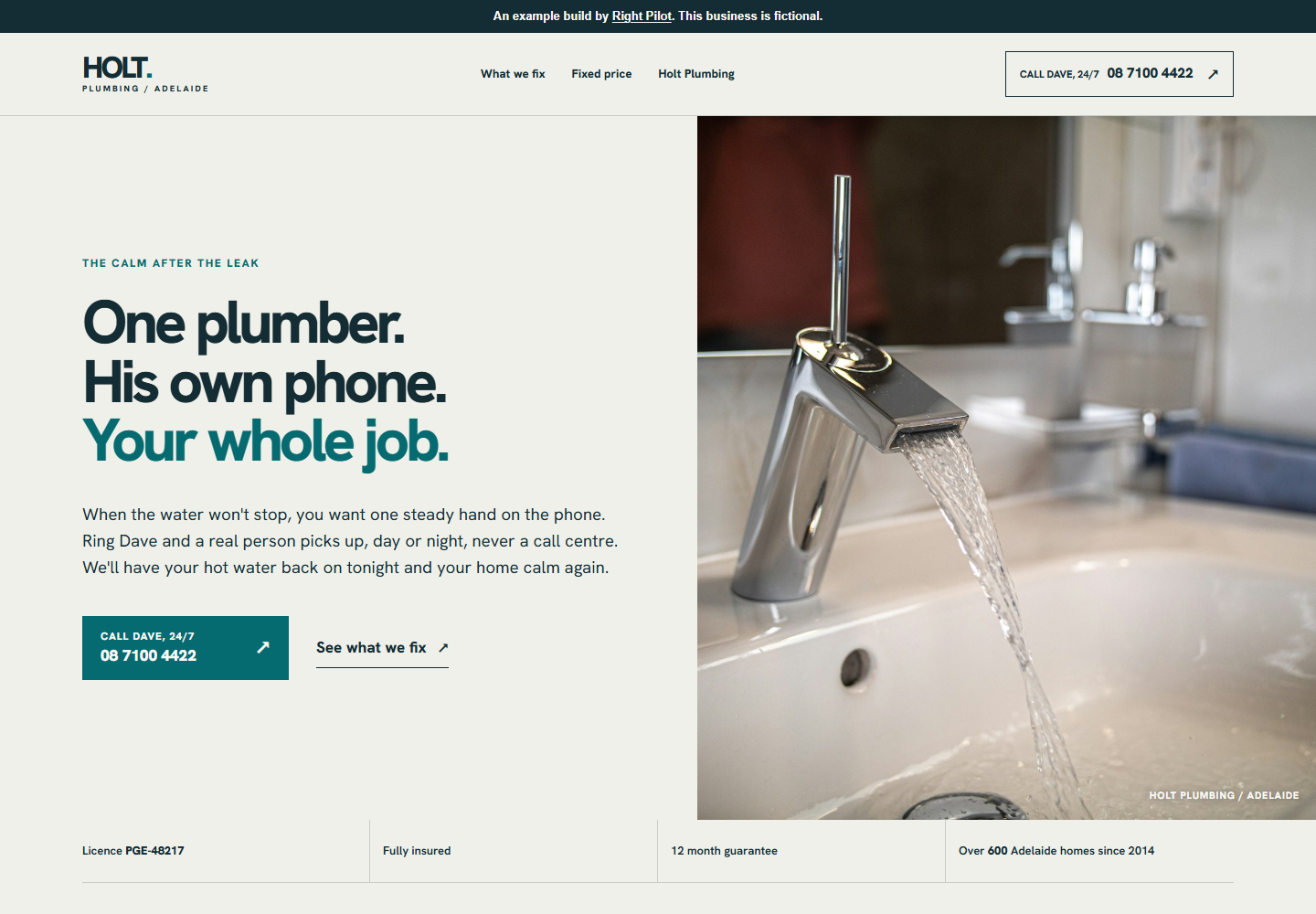 Holt Plumbing demonstration website on desktop